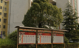 校门口橱窗