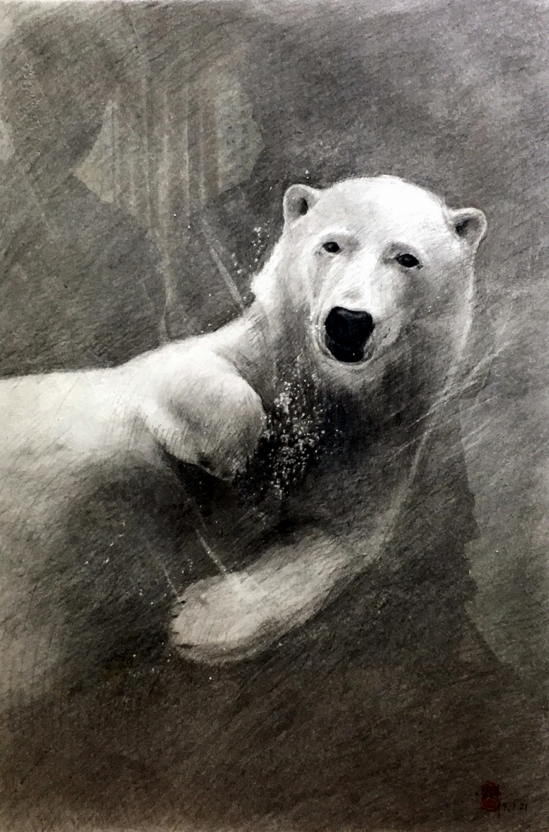 《北极熊》 罗拼 铅笔